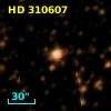 HD 310607