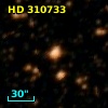 HD 310733