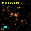 HD 310624