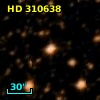 HD 310638