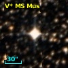 V* MS Mus