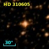 HD 310605