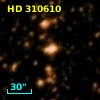 HD 310610