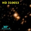 HD 310653