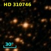 HD 310746