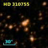 HD 310755