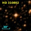 HD 310802