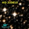 HD 310810