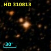HD 310813