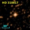 HD 310817