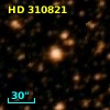 HD 310821