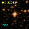 HD 310824