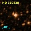HD 310828