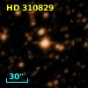 HD 310829