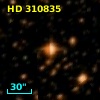 HD 310835