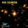 HD 310836