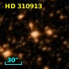 HD 310913