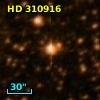 HD 310916