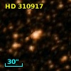 HD 310917