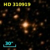HD 310919