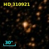 HD 310921
