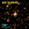 HD 310949