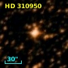 HD 310950