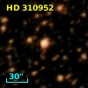 HD 310952