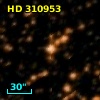 HD 310953