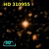 HD 310955