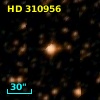 HD 310956
