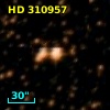 HD 310957