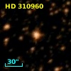 HD 310960