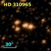 HD 310965