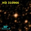 HD 310966