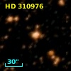 HD 310976