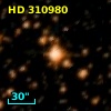 HD 310980