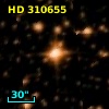 HD 310655
