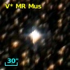 V* MR Mus