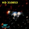 HD 310853