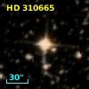 HD 310665