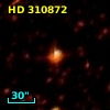 HD 310872