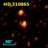 HD 310865
