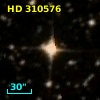 HD 310576