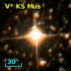 V* KS Mus