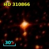 HD 310866