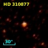 HD 310877