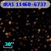 IRAS 11460-6737