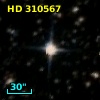 HD 310567