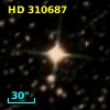 HD 310687